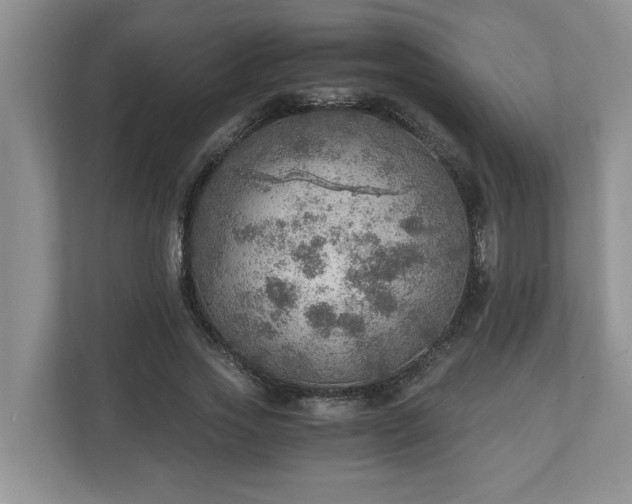 X0000110890733200906251317