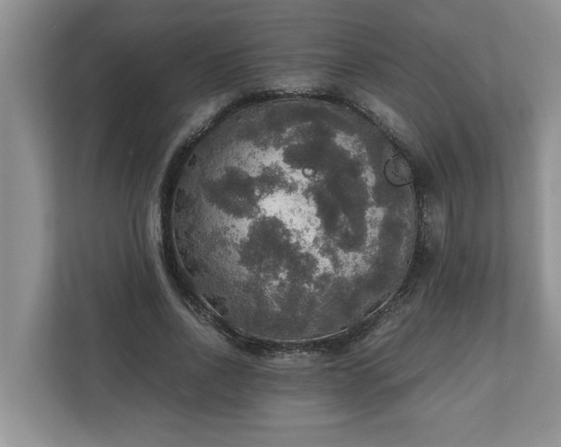X0000110890734200906251317