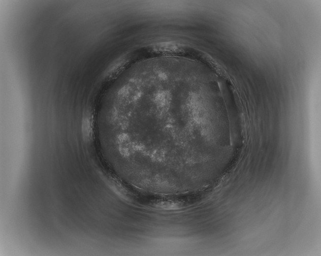X0000110890735200906251317