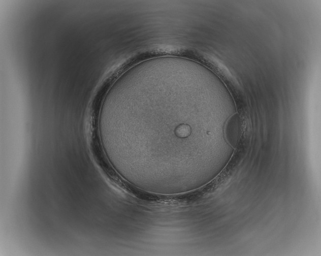 X0000110890736200906251317