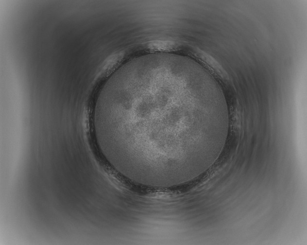 X0000110890738200906251317