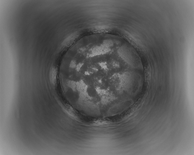X0000110890742200906251317