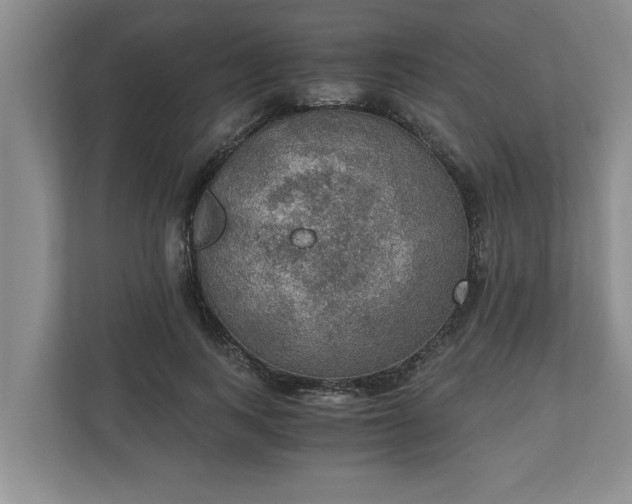 X0000110890743200906251317
