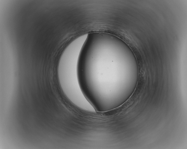 X0000110890744200906251317