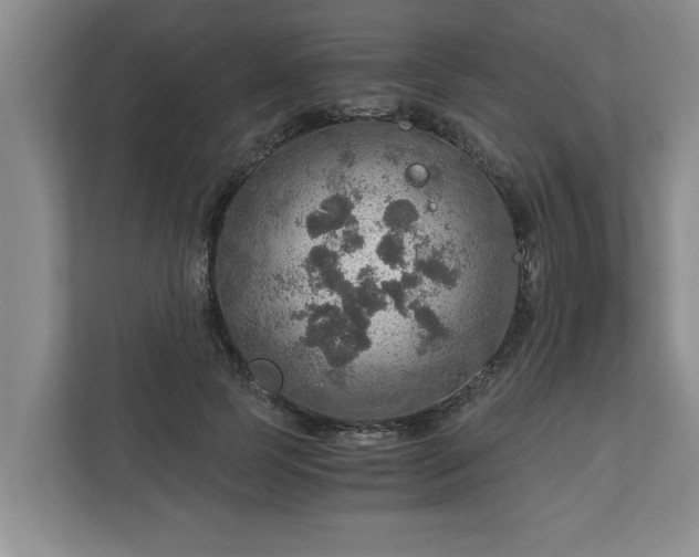 X0000110890745200906251317