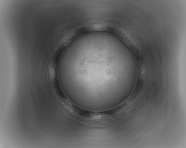 X0000110890746200906251317
