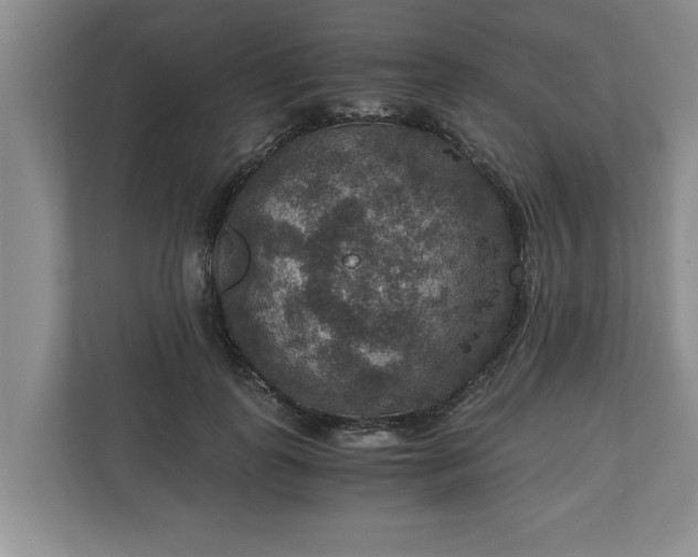 X0000110890747200906251317