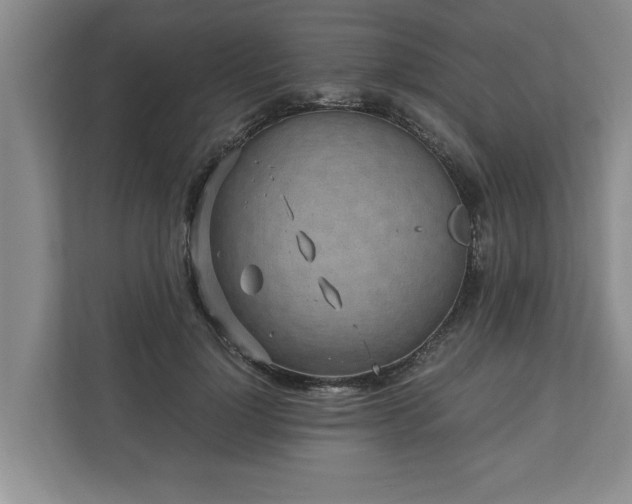 X0000110890748200906251317