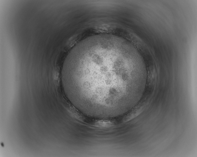 X0000110890749200906251317