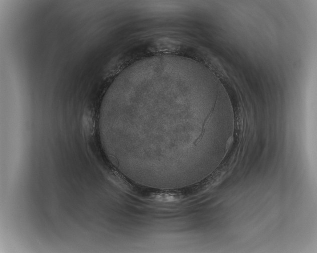 X0000110890751200906251317