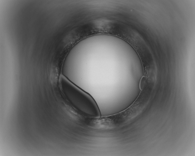 X0000110890752200906251317