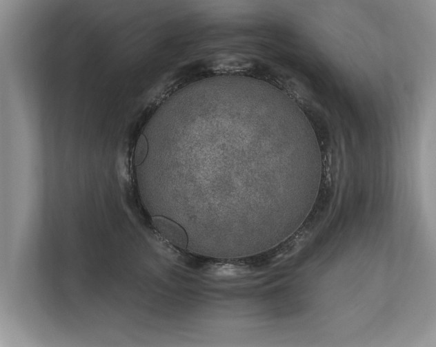 X0000110890755200906251317