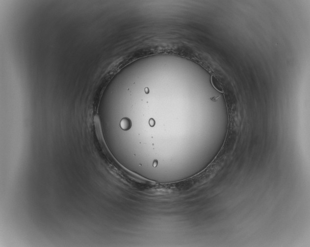 X0000110890756200906251317