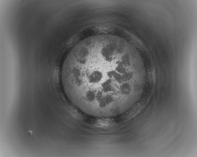 X0000110890757200906251317