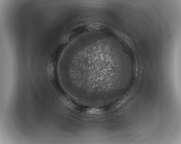 X0000110890759200906251317
