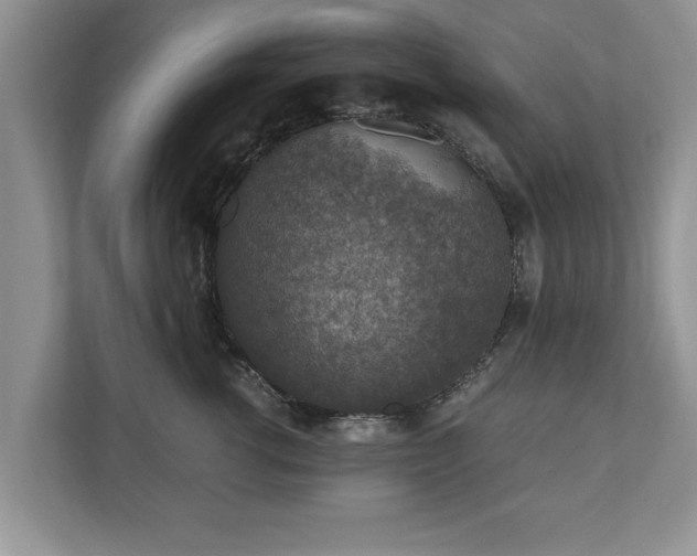 X0000110890762200906251317