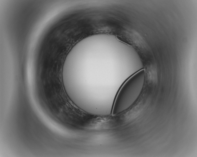 X0000110890764200906251317