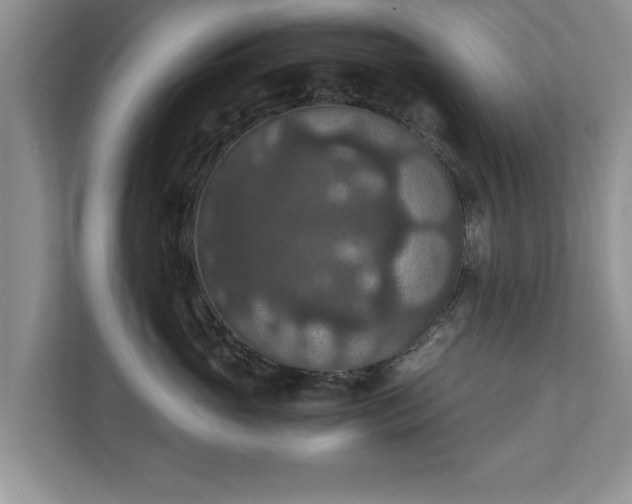 X0000110890765200906251317