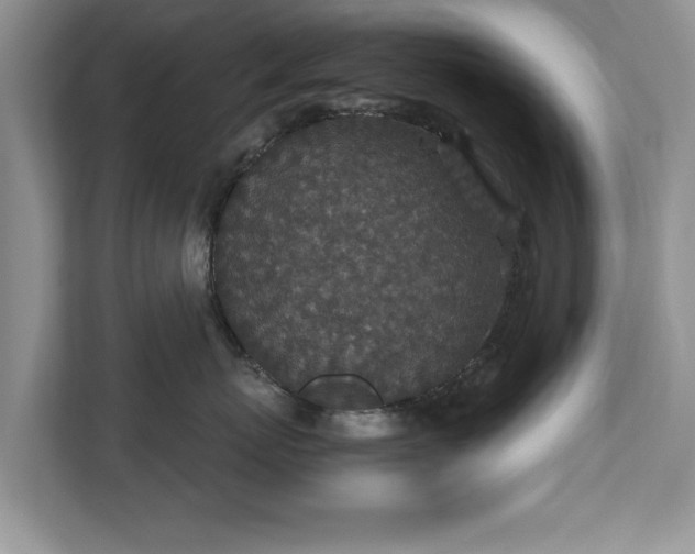 X0000110890767200906251317