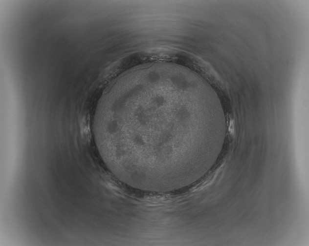 X0000110890771200906251317