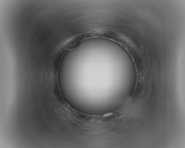 X0000110890773200906251317