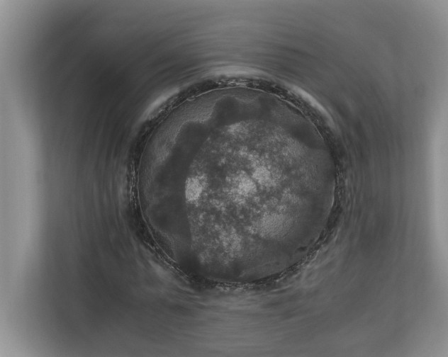 X0000110890775200906251317