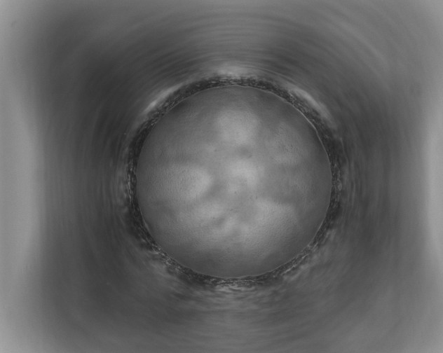 X0000110890776200906251316
