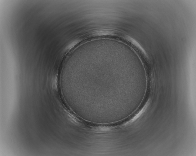 X0000110890777200906251316