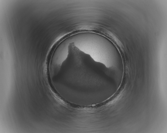 X0000110890779200906251316