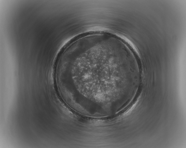 X0000110890783200906251316