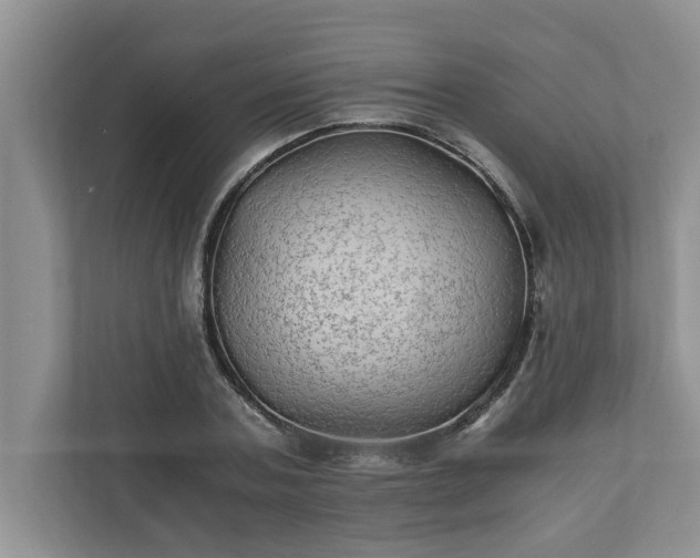 X0000110890787200906251316