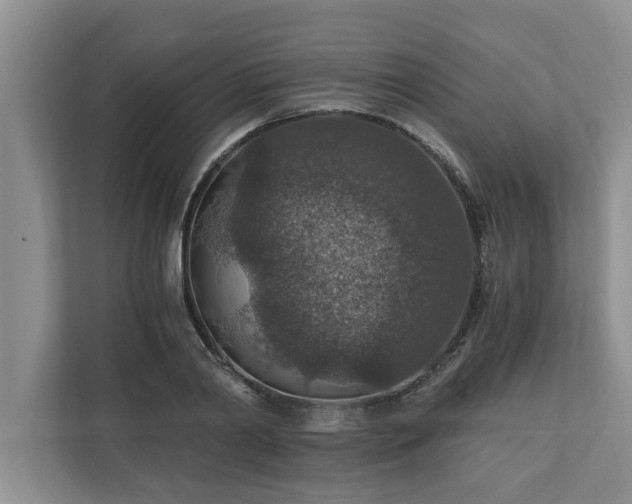 X0000110890790200906251316