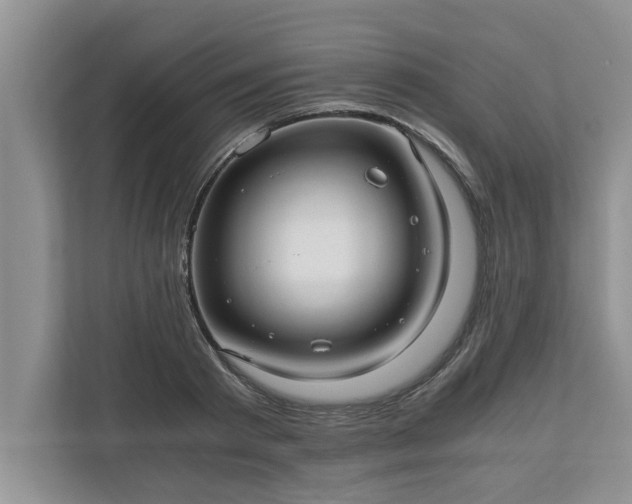 X0000110890793200906251316