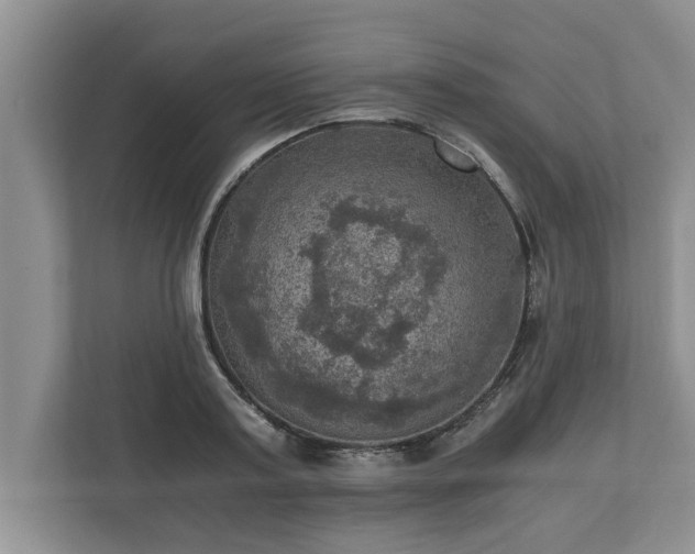 X0000110890795200906251316