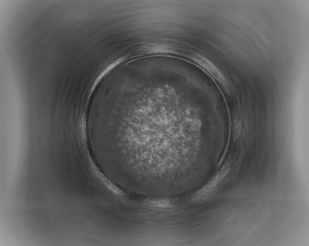 X0000110890798200906251316