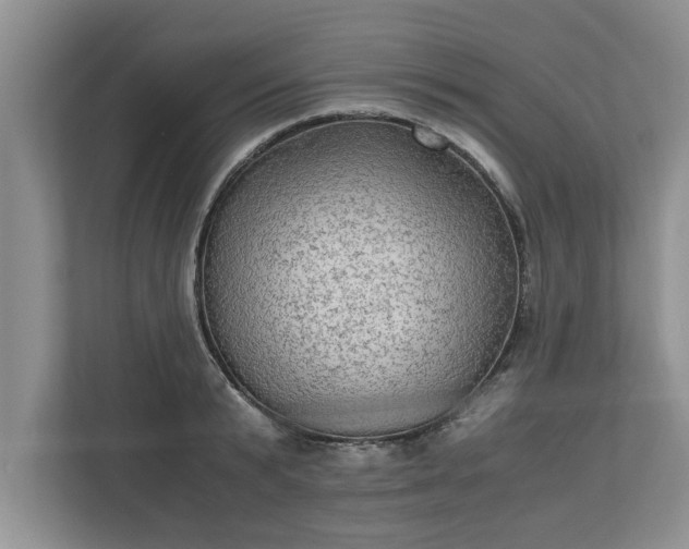 X0000110890799200906251316