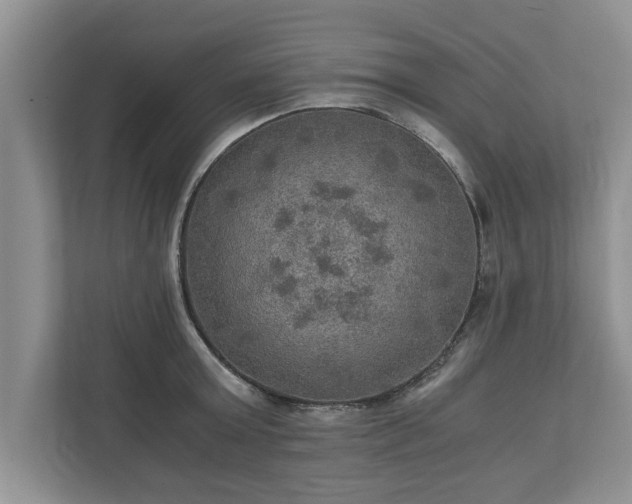 X0000110890803200906251316