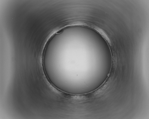 X0000110890805200906251316