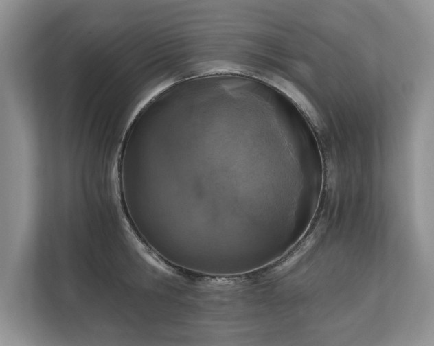 X0000110890806200906251316