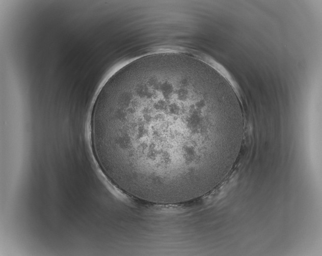 X0000110890811200906251316