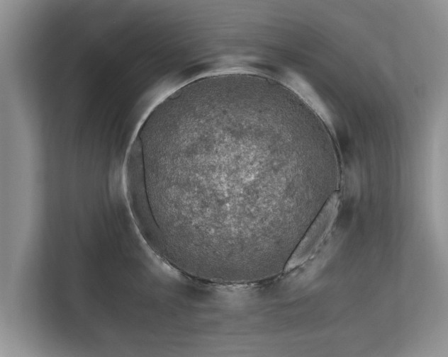 X0000110890813200906251316