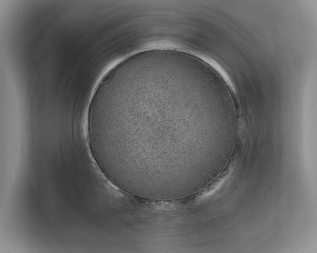 X0000110890815200906251316