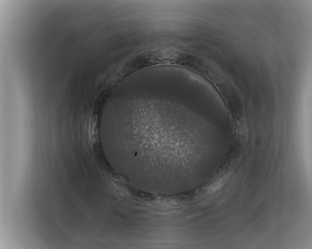 X0000110890818200906251315