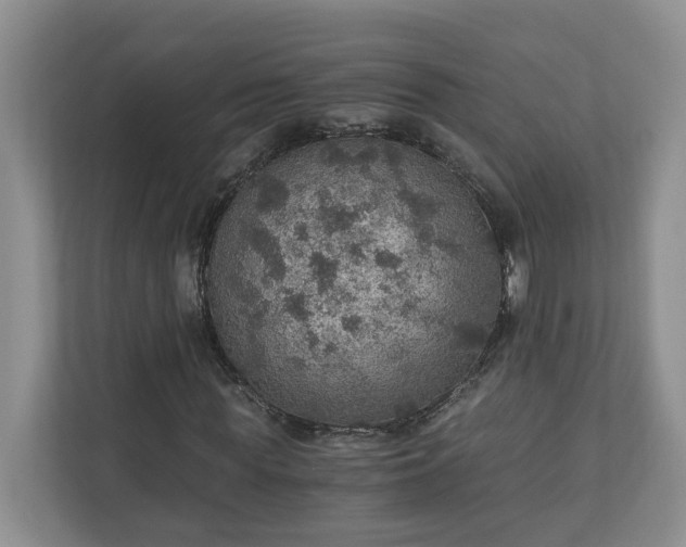 X0000110890819200906251315