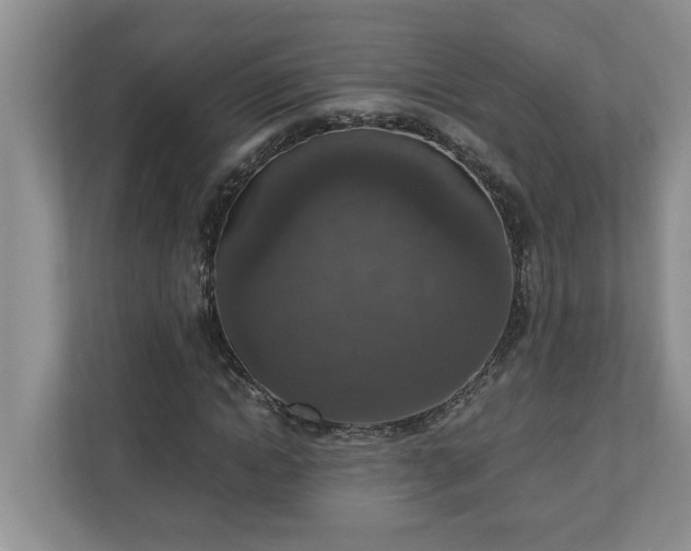 X0000110890822200906251315