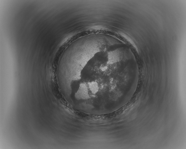 X0000110890823200906251315