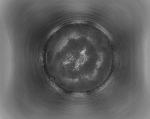 X0000110890826200906251315