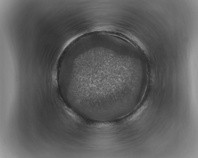 X0000110890830200906251316