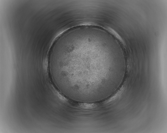 X0000110890831200906251316