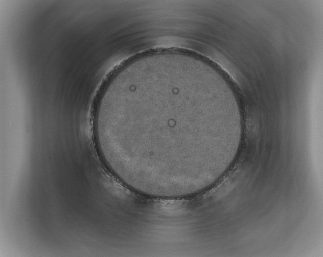X0000110890832200906251316